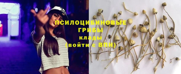 бошки Верея