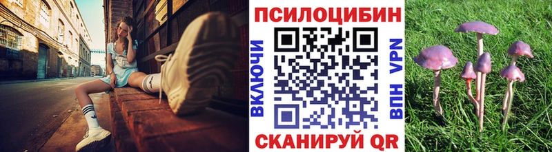 Псилоцибиновые грибы Magic Shrooms  Купить где  Абаза 