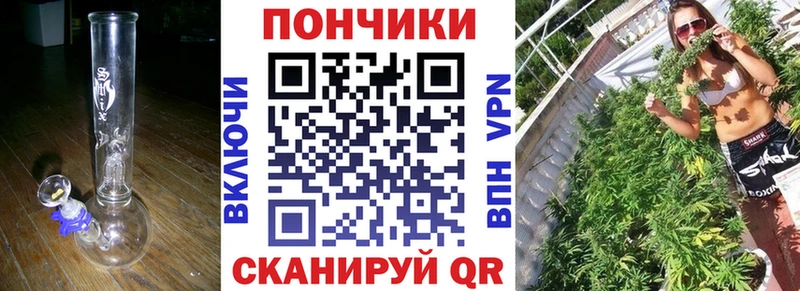 Бошки Шишки конопля  Купить где  Абаза 